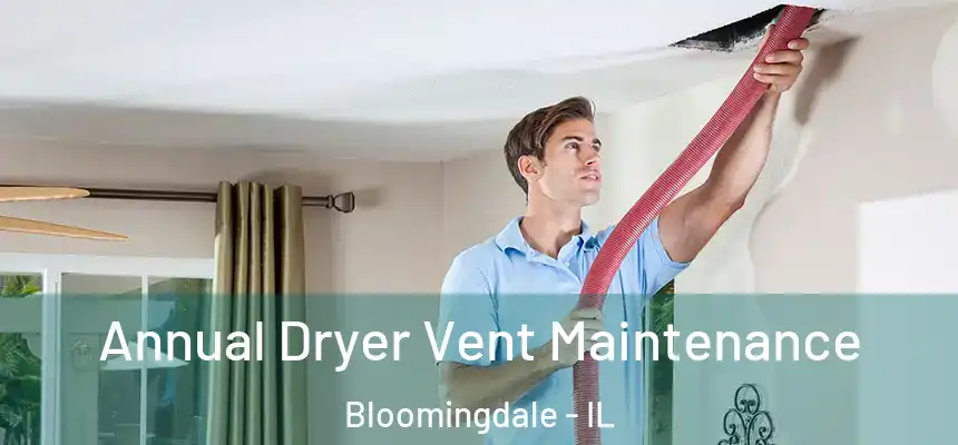  Annual Dryer Vent Maintenance Bloomingdale - IL