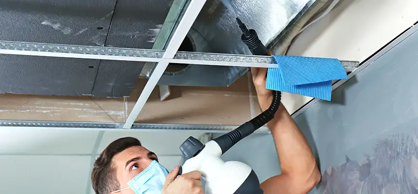 Our Air Duct Rodent Removal Services in Bloomingdale, IL