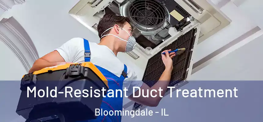  Mold-Resistant Duct Treatment Bloomingdale - IL
