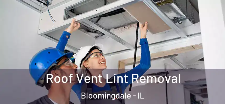 Roof Vent Lint Removal Bloomingdale - IL