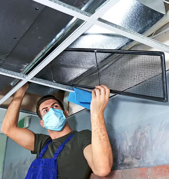 About Air Duct Bacteria Removal in Bloomingdale