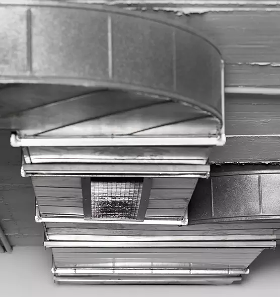 Professional Air Duct Pet Hair Removal in Bloomingdale, IL