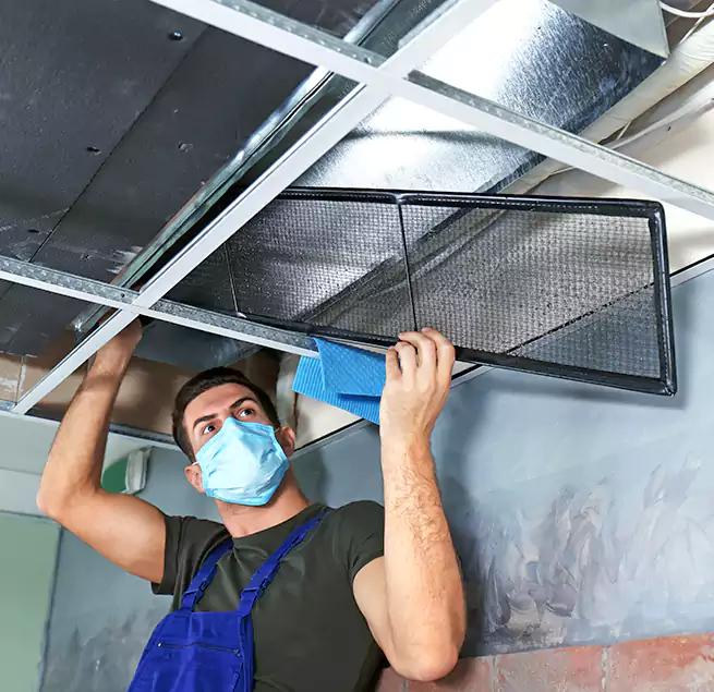 Why Homeowners Businesses Trust Us in Bloomingdale, IL