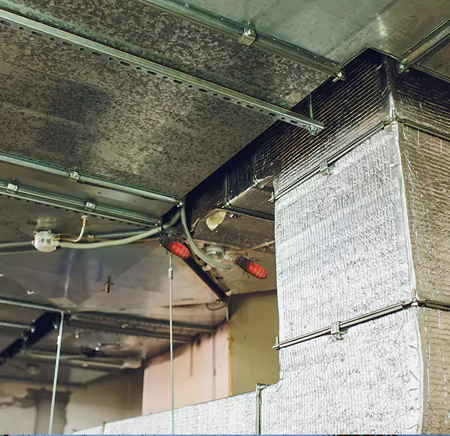 Why Homeowners & Businesses Trust Us Bloomingdale, IL?